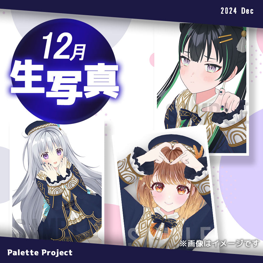 【12月ランダム生写真】Palette Project~パレプロワンマン2024編!!~
