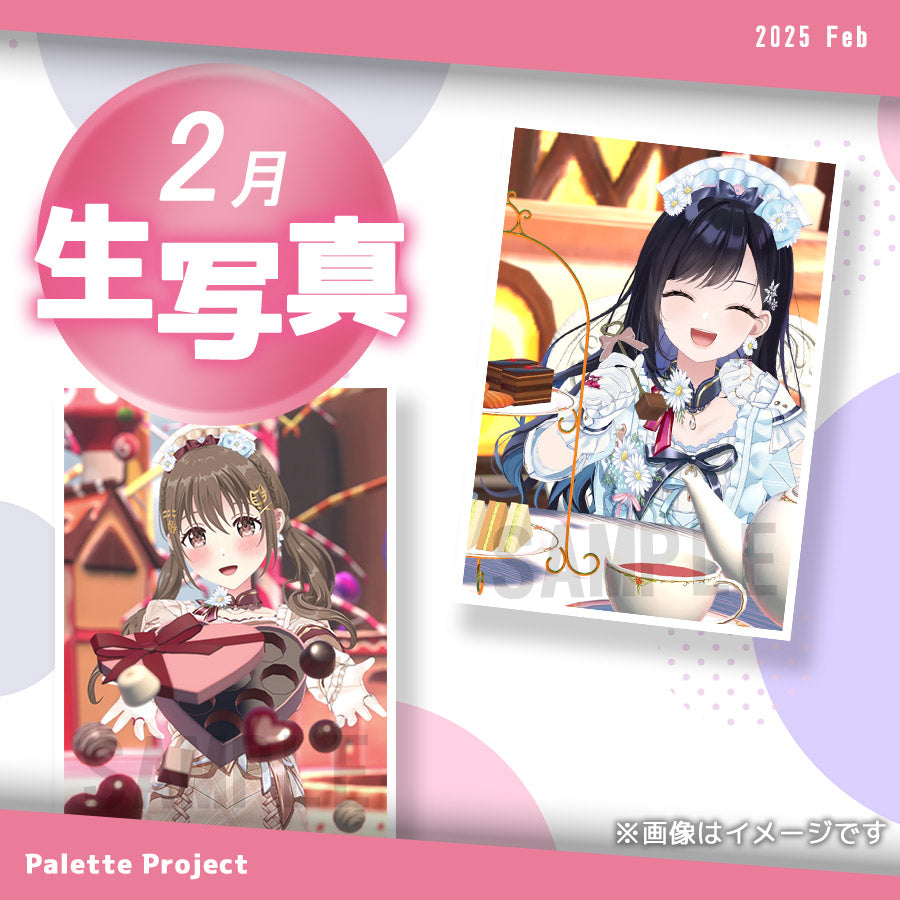 【2月ランダム生写真】Palette Project~バレンタイン2025編!!〜