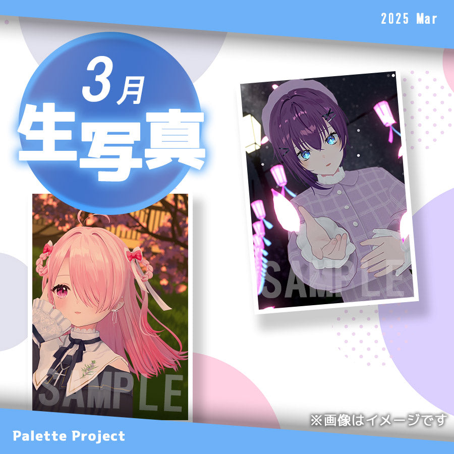 【3月ランダム生写真】Palette Project~お花見2025編!!〜