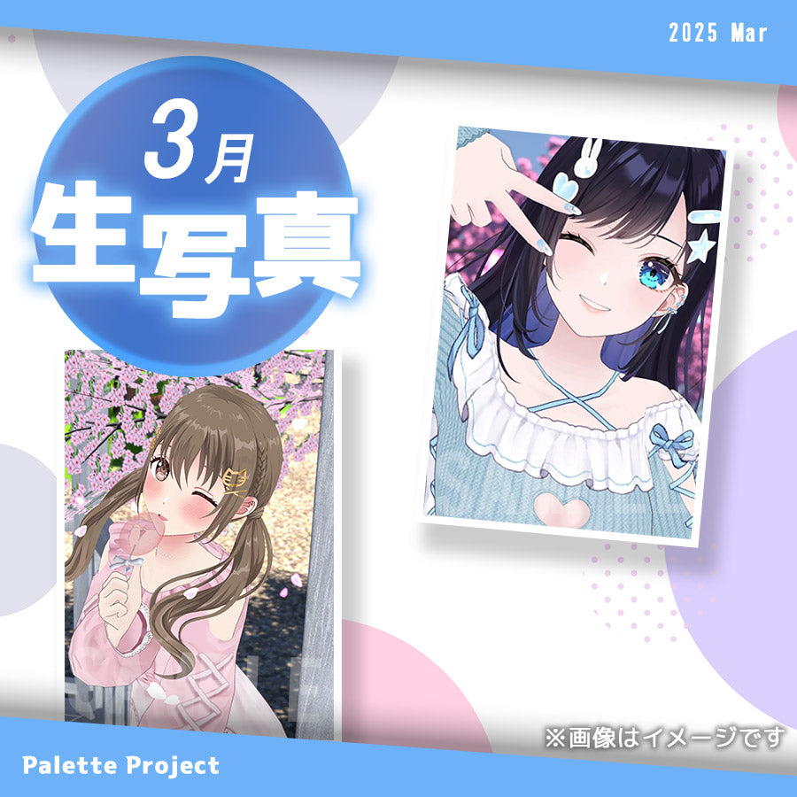 【3月ランダム生写真】Palette Project~お花見2025編!!〜