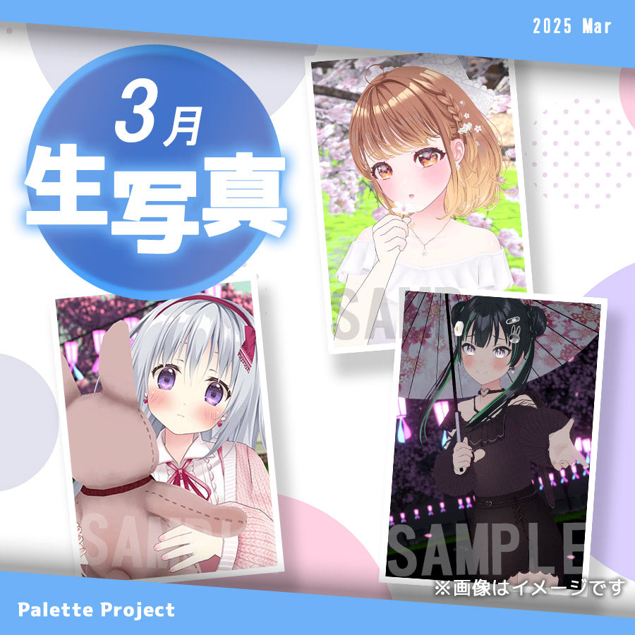 【3月ランダム生写真】Palette Project~お花見2025編!!〜