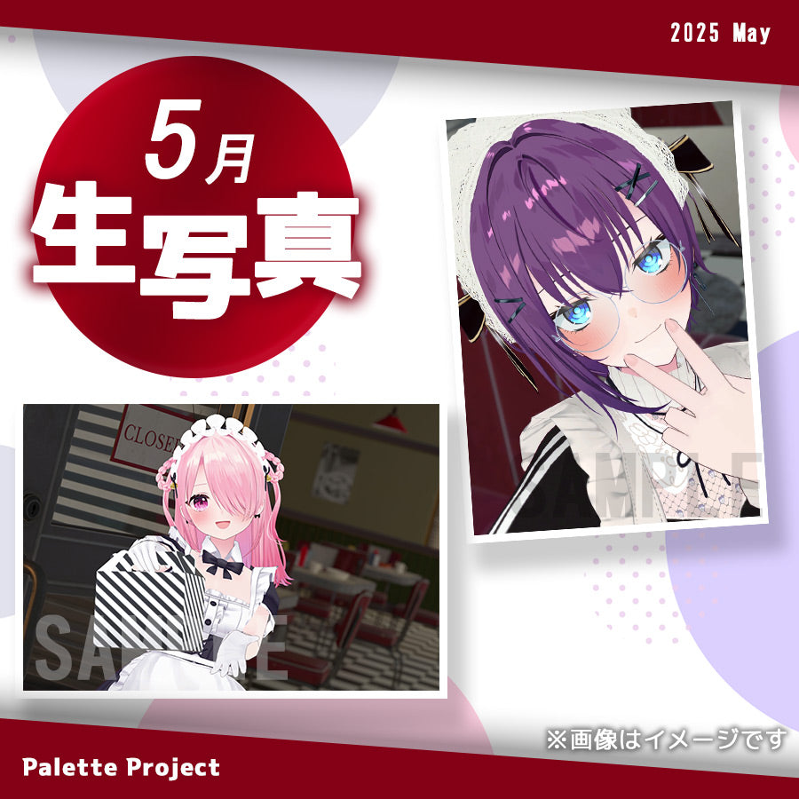 【5月ランダム生写真】Palette Project~パレプロダイナー編!!