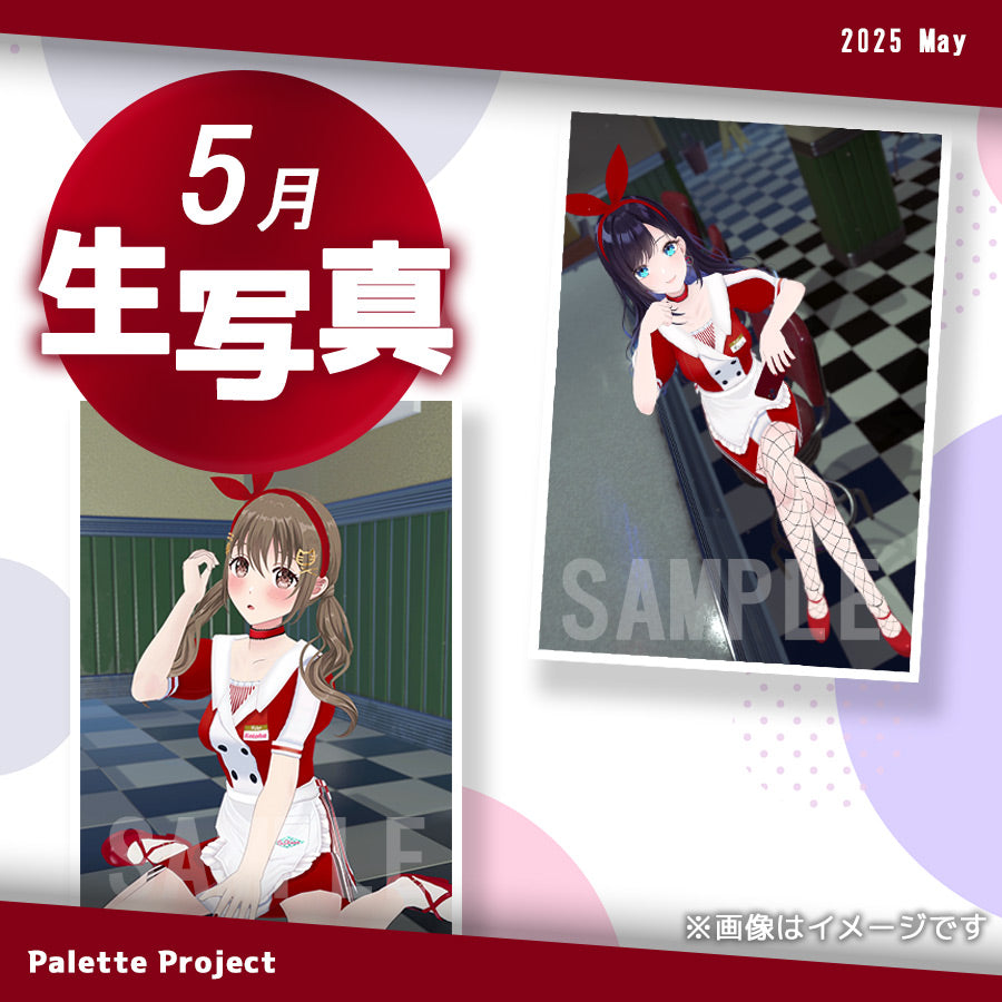 【5月ランダム生写真】Palette Project~パレプロダイナー編!!