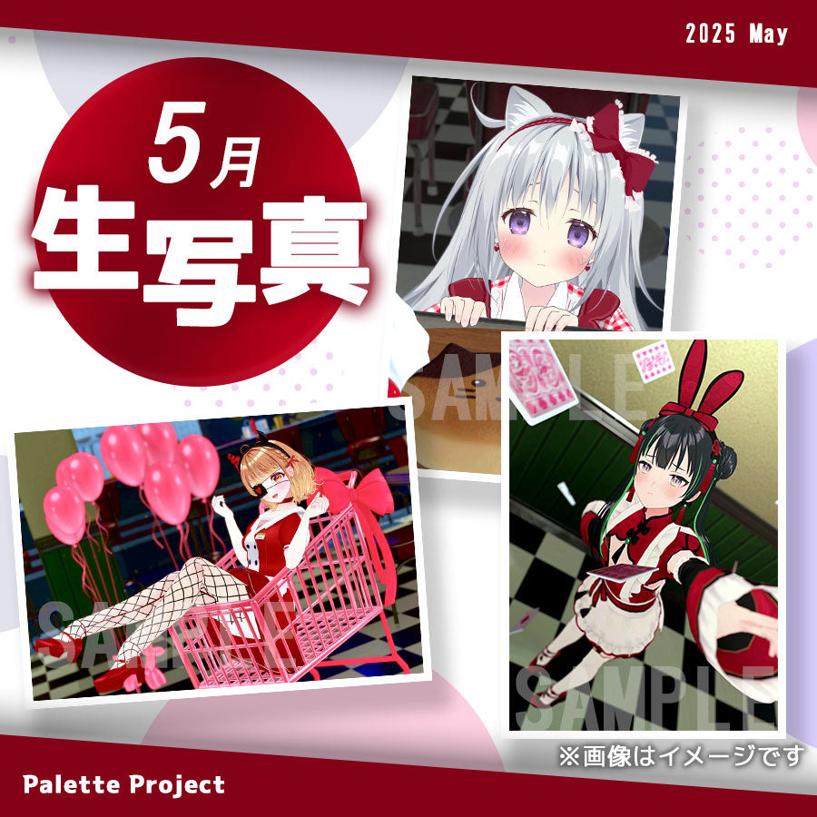 【5月ランダム生写真】Palette Project~パレプロダイナー編!!