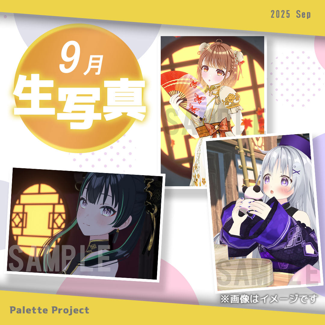 【9月ランダム生写真】Palette Project~チャイナ服2025編!!