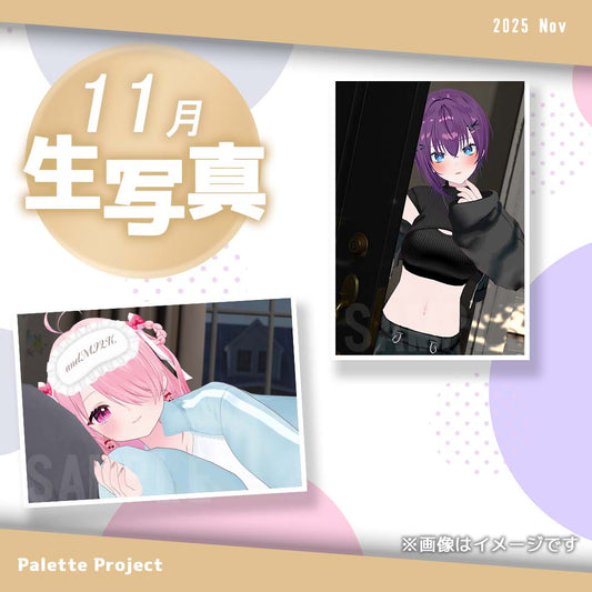 【11月ランダム生写真】Palette Project～ルームウェア2025編！！～