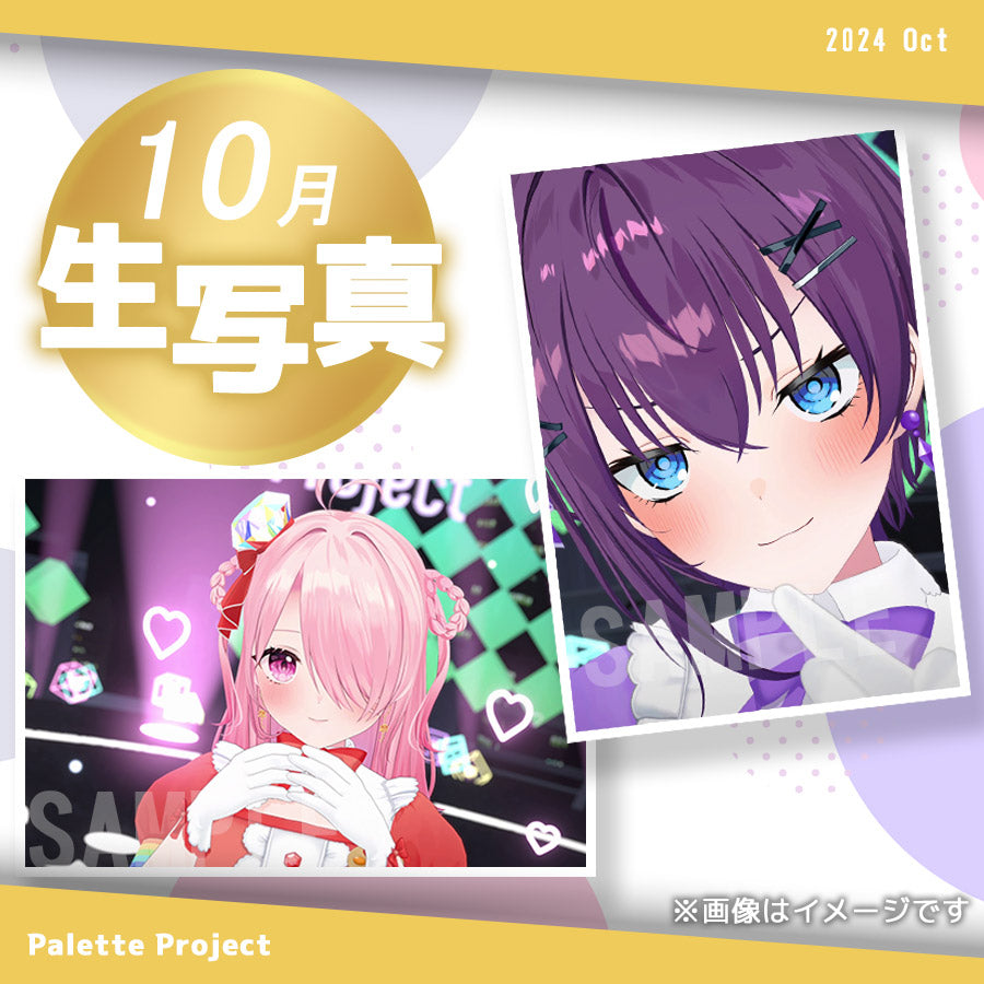 【10月ランダム生写真】Palette Project～新3Dお披露目記念編！！～