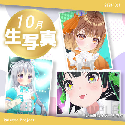 【10月ランダム生写真】Palette Project～新3Dお披露目記念編！！～