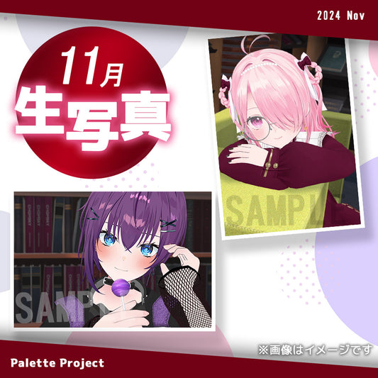 【11月ランダム生写真】Palette Project～読書の秋2024編！！～