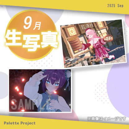 【9月ランダム生写真】Palette Project～チャイナ服2025編！！