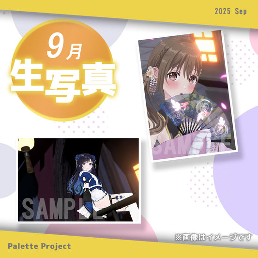 【9月ランダム生写真】Palette Project～チャイナ服2025編！！