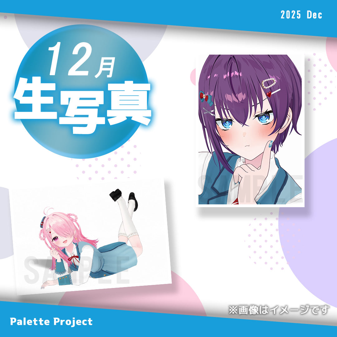 【12月ランダム生写真】Palette Project～パレプロワンマン2025編！！～