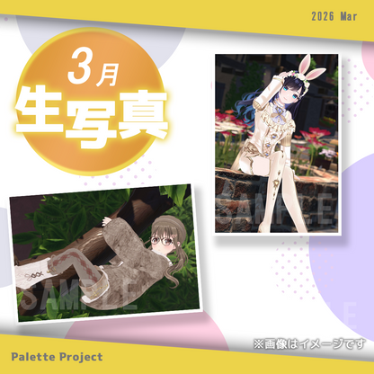 【3月ランダム生写真】Palette Project～パレプロイースター2026編！！～
