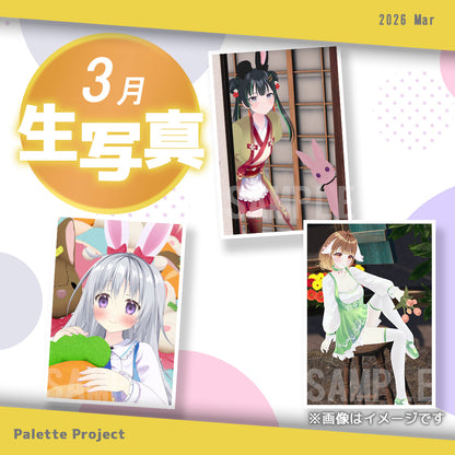 【3月ランダム生写真】Palette Project～パレプロイースター2026編！！～