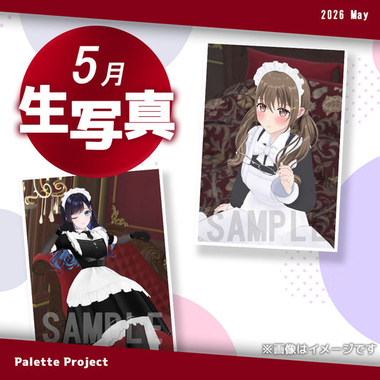 【5月ランダム生写真】Palette Project～メイド服2026編！！～