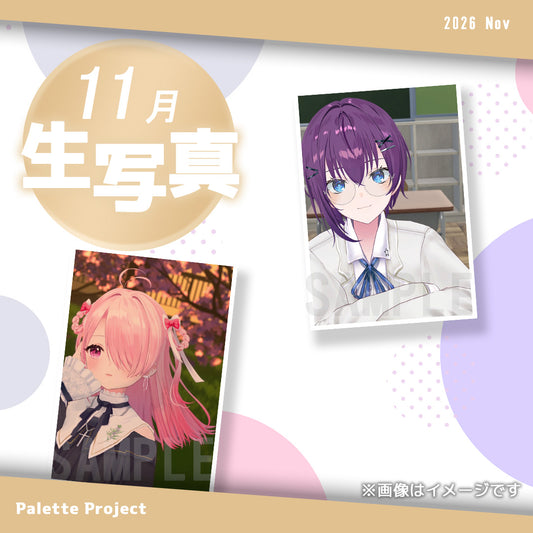 【11月ランダム生写真】Palette Project～復刻リクエスト2026編！！～