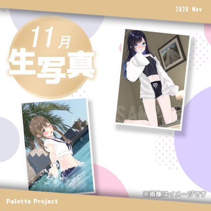 【11月ランダム生写真】Palette Project～復刻リクエスト2026編！！～