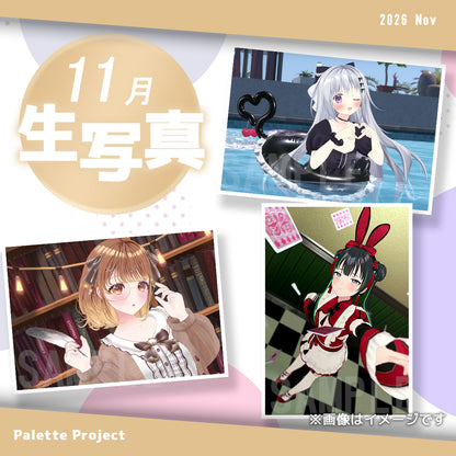 【11月ランダム生写真】Palette Project～復刻リクエスト2026編！！～