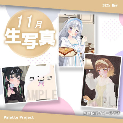 【11月ランダム生写真】Palette Project～ルームウェア2025編！！～
