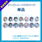 【5th ワンマンライブ】ランダムオーロラ缶バッジ