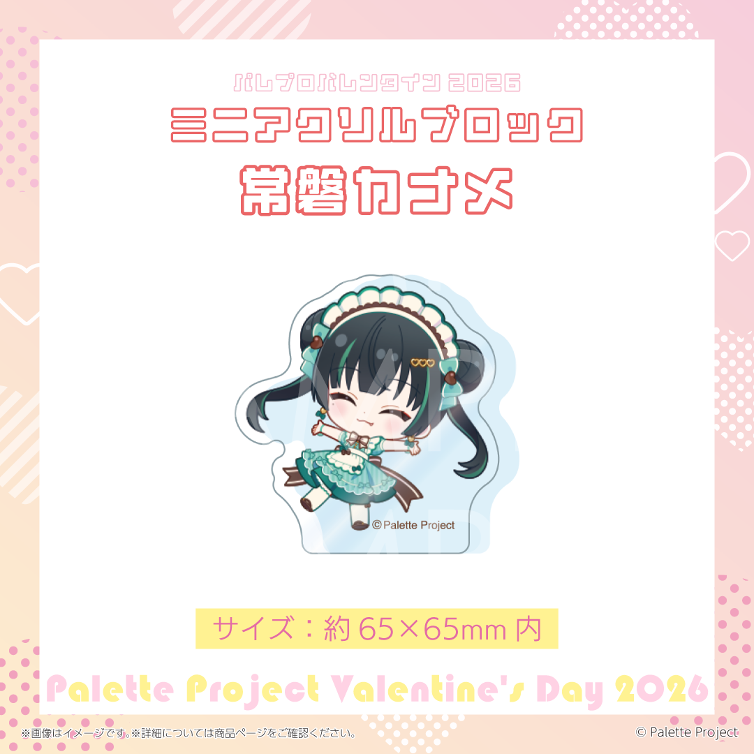 【パレプロVD2026】ミニアクリルブロック