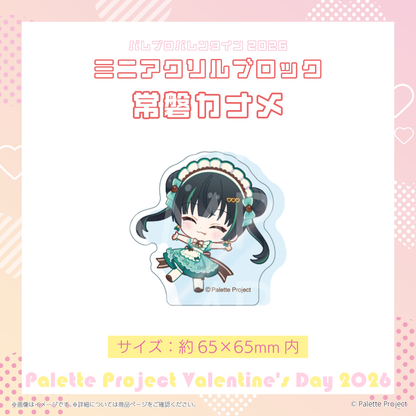 【パレプロVD2026】ミニアクリルブロック